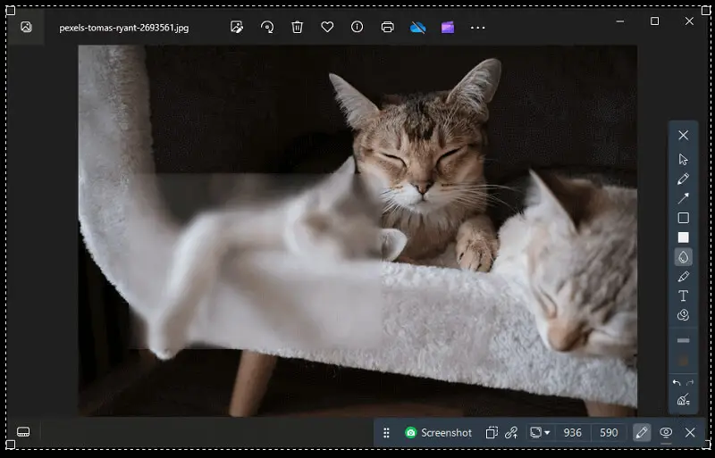 Icecream Screen Recorder 5